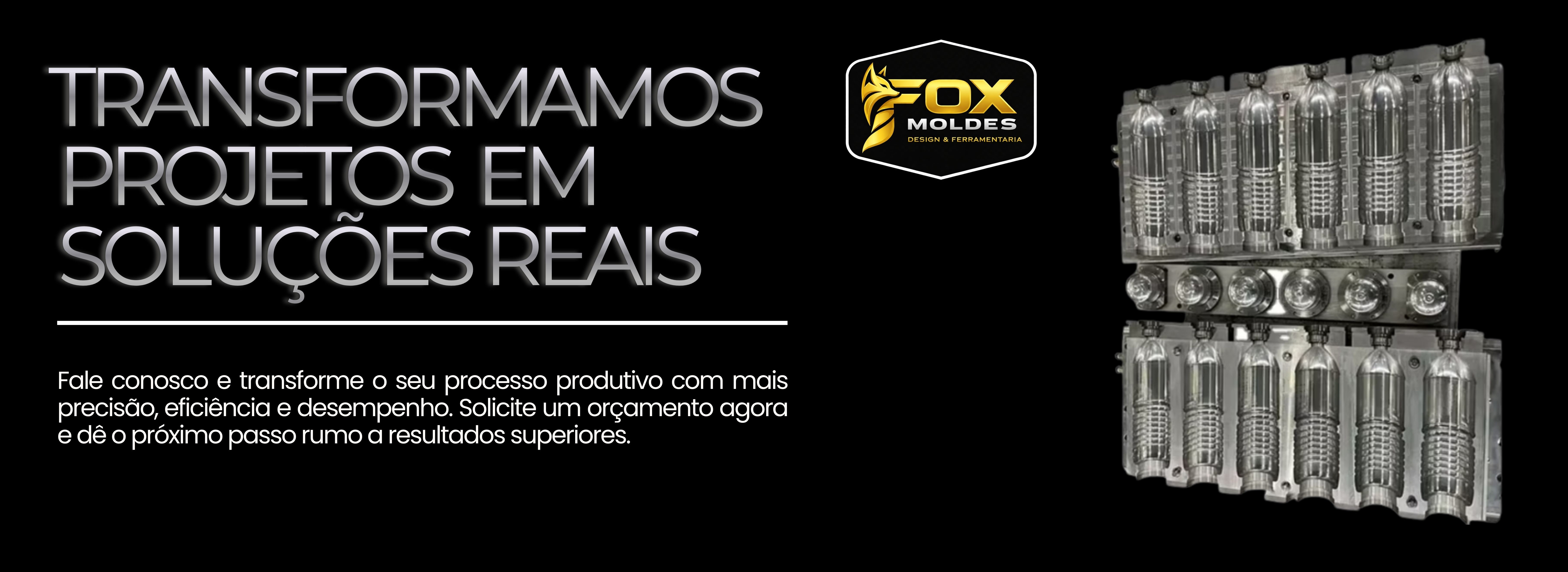 Banner FOX Moldes 5